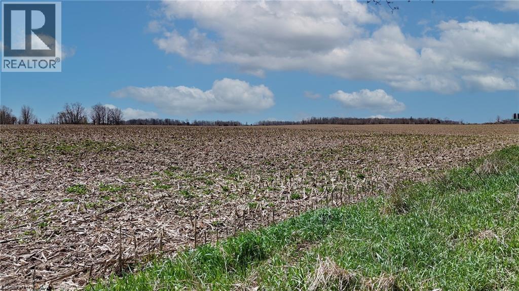 000000 TOWNSHIP ROAD 4 Road, Princeton, Ontario, N0J1V0 — Photo 8