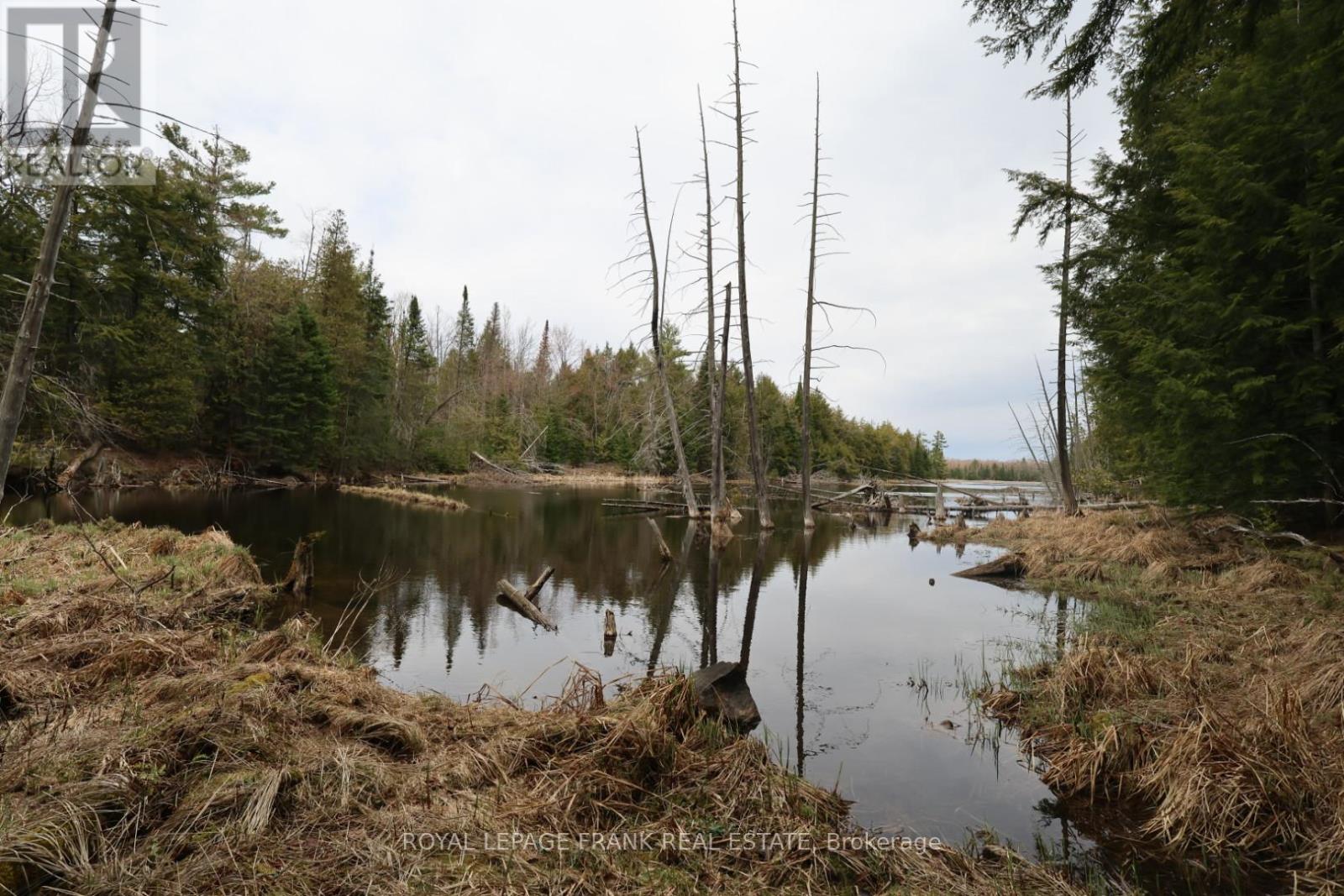 165 COUNTY RD 507, Trent Lakes, Ontario, K0L1J0 — Photo 43