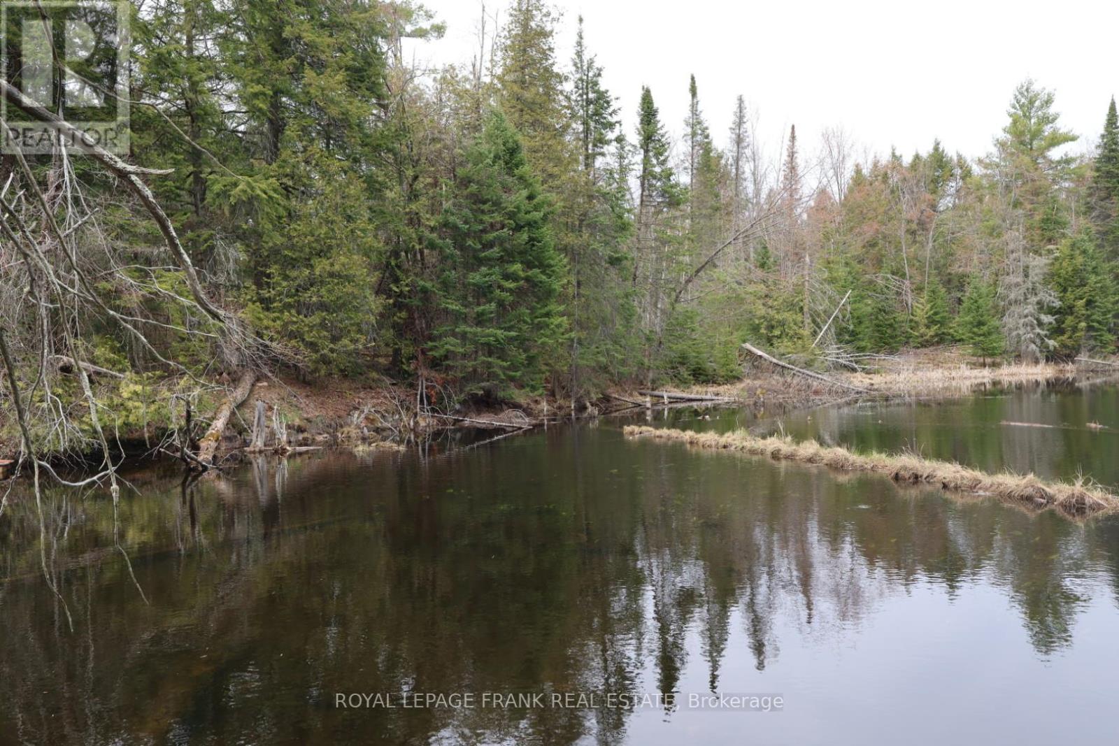 165 COUNTY RD 507, Trent Lakes, Ontario, K0L1J0 — Photo 44