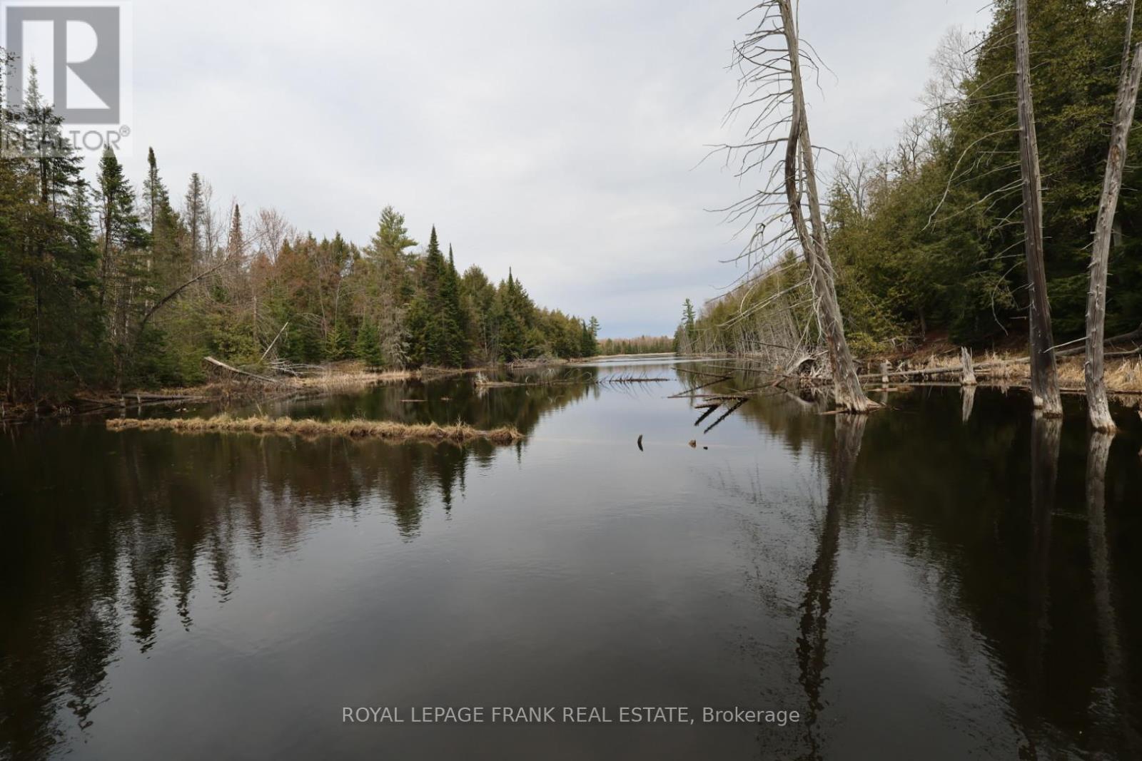 165 COUNTY RD 507, Trent Lakes, Ontario, K0L1J0 — Photo 45