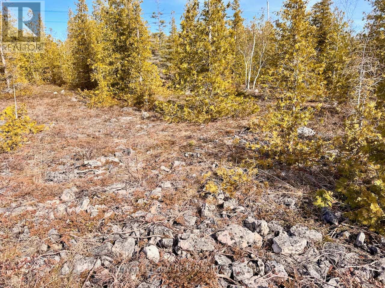 73 FOX TRAIL, Northern Bruce Peninsula, Ontario, N0H1W0 — Photo 19