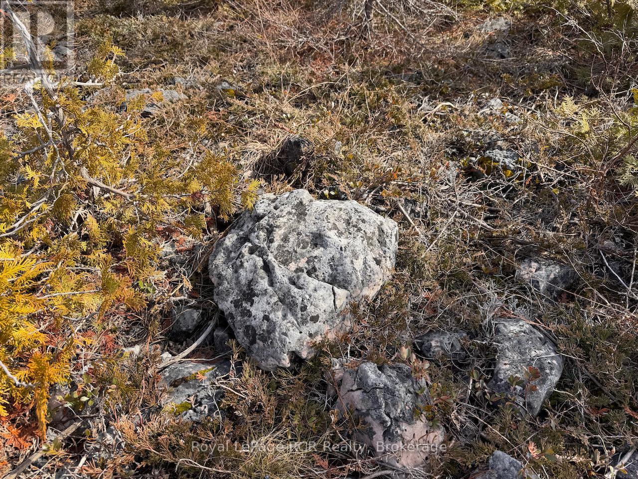 73 FOX TRAIL, Northern Bruce Peninsula, Ontario, N0H1W0 — Photo 20