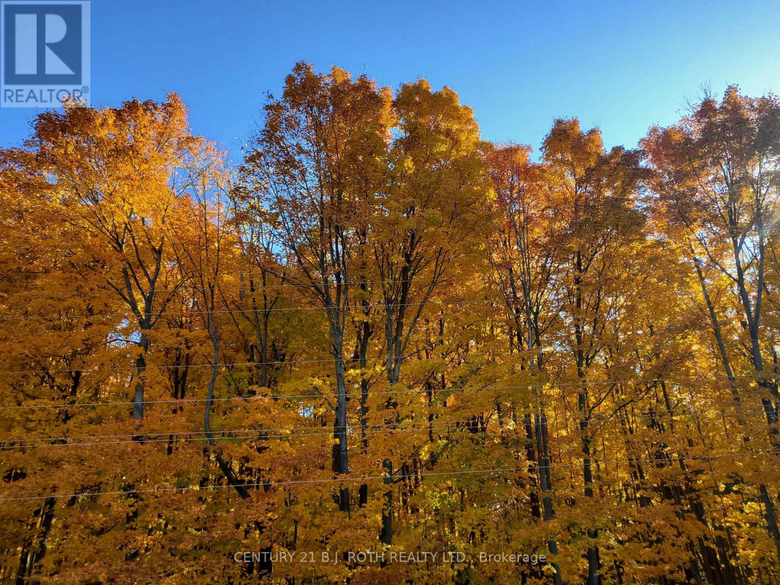 29 CORNER BROOK TRAIL, Innisfil, Ontario, L9S1P2 — Photo 22