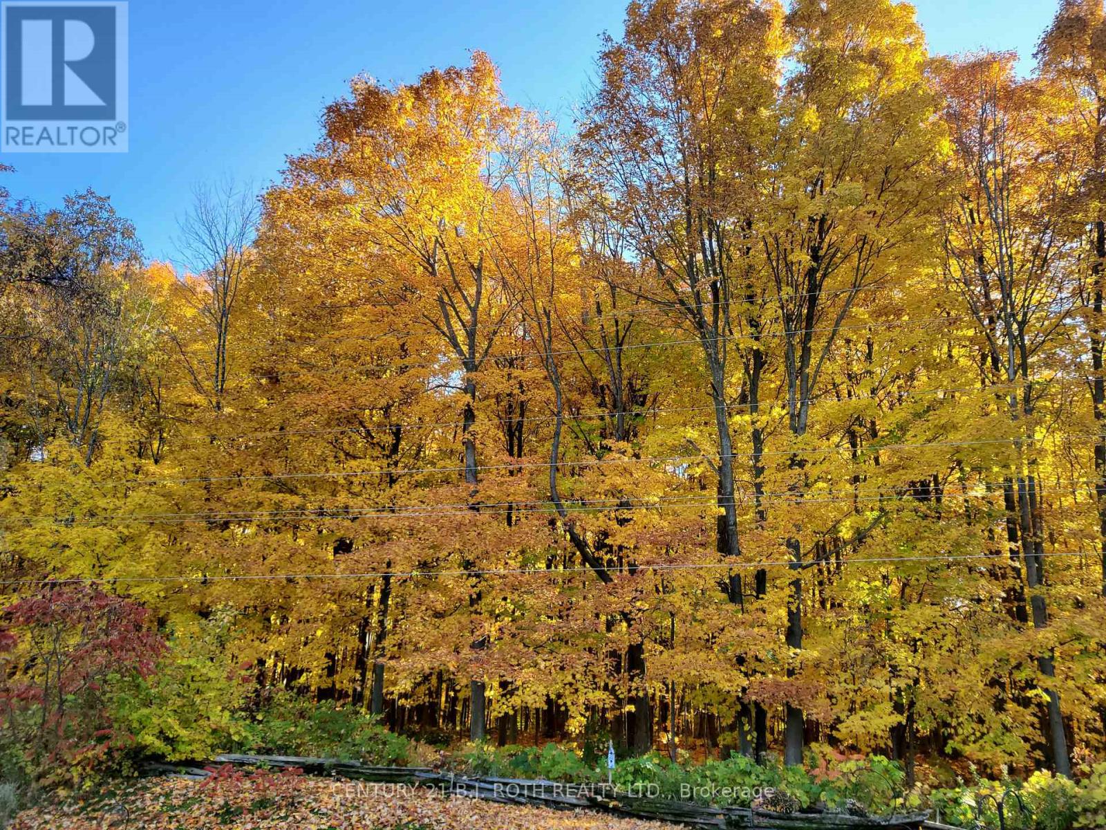 29 CORNER BROOK TRAIL, Innisfil, Ontario, L9S1P2 — Photo 3