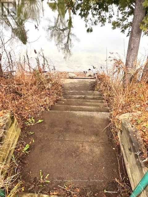 3 ANSON STREET, Minden Hills (Lutterworth), Ontario, K0M2K0 — Photo 3