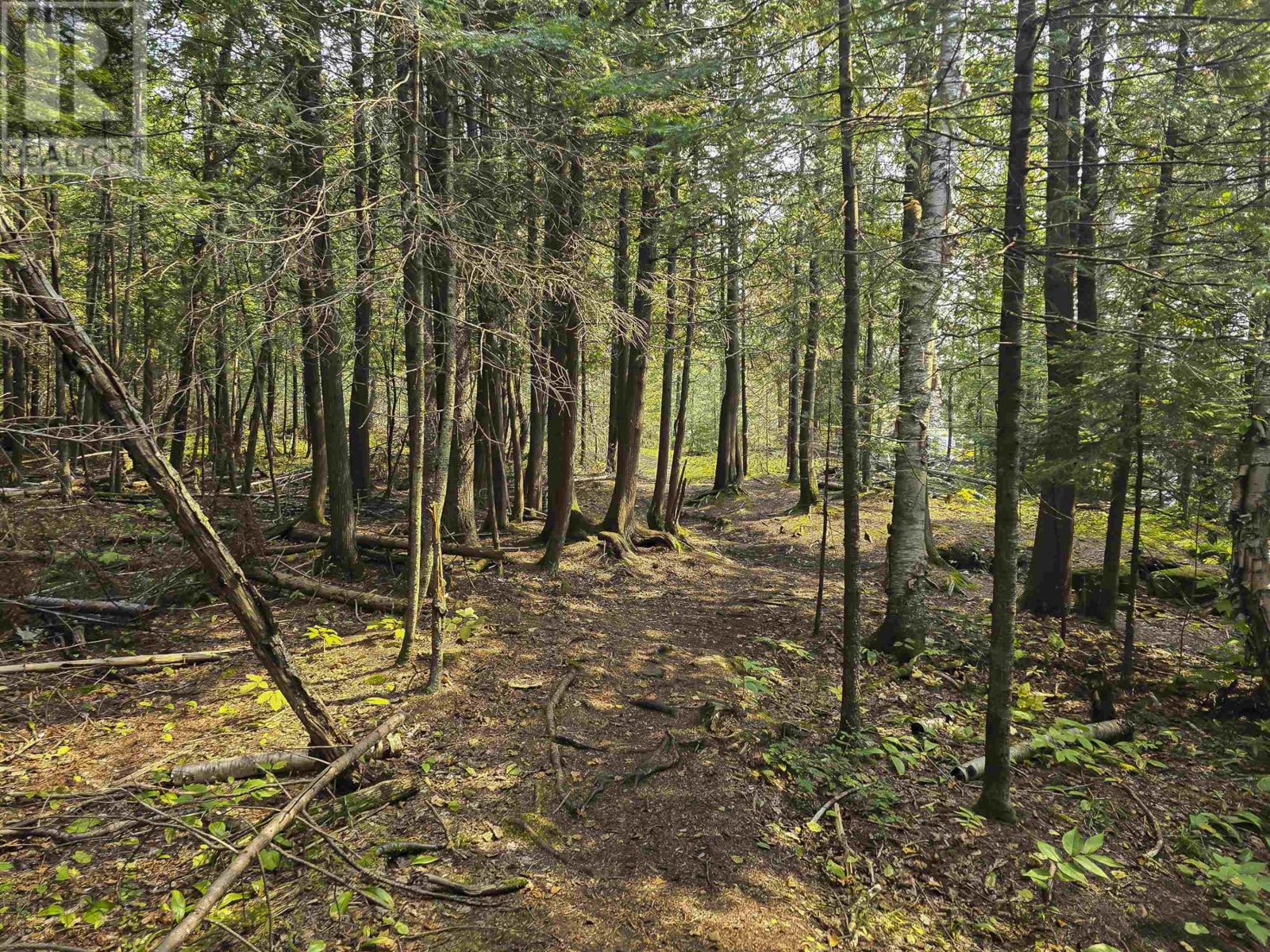 500 Toledo ST, Thunder Bay, Ontario, P7A8A6 — Photo 49