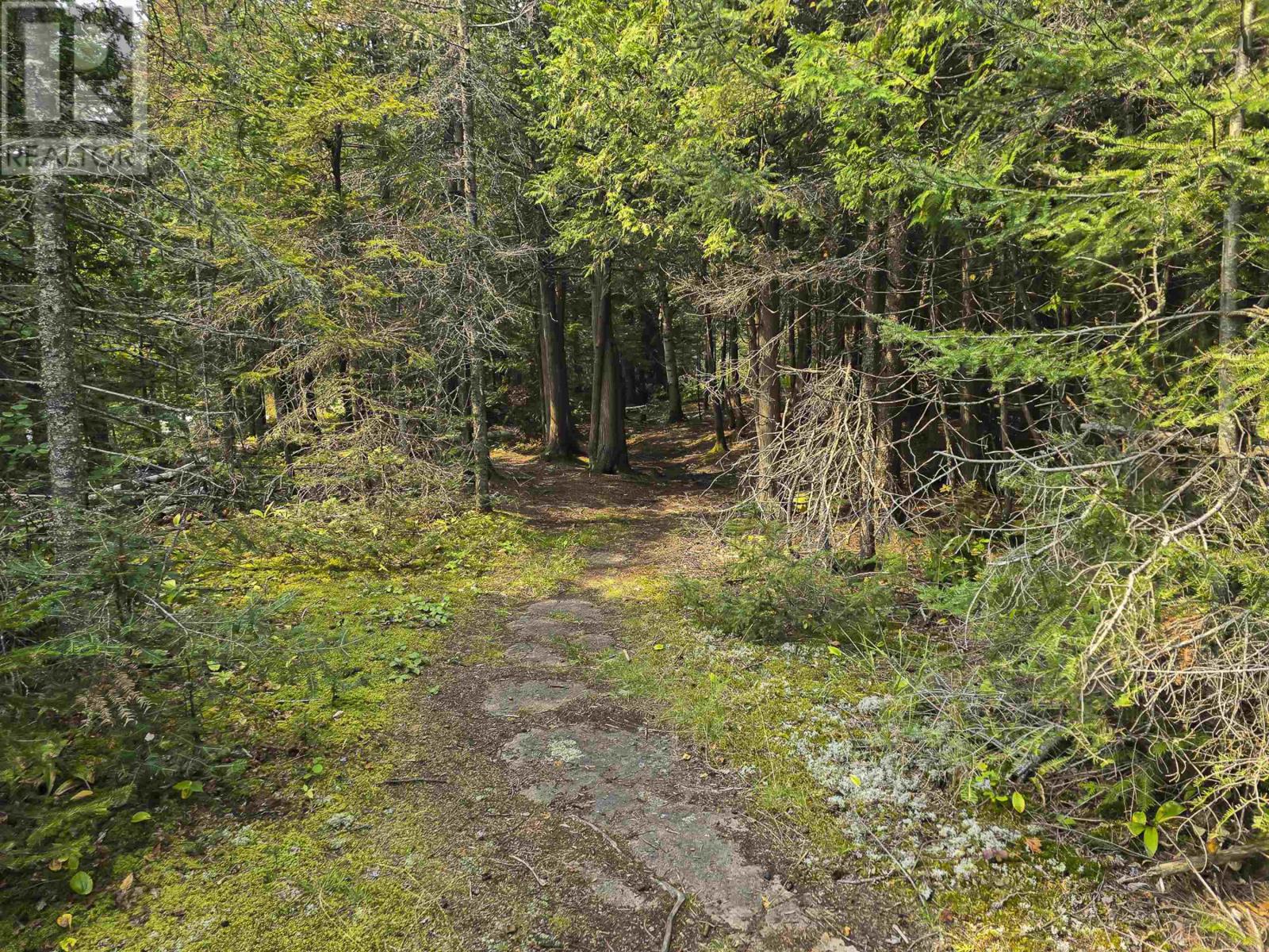 500 Toledo ST, Thunder Bay, Ontario, P7A8A6 — Photo 50