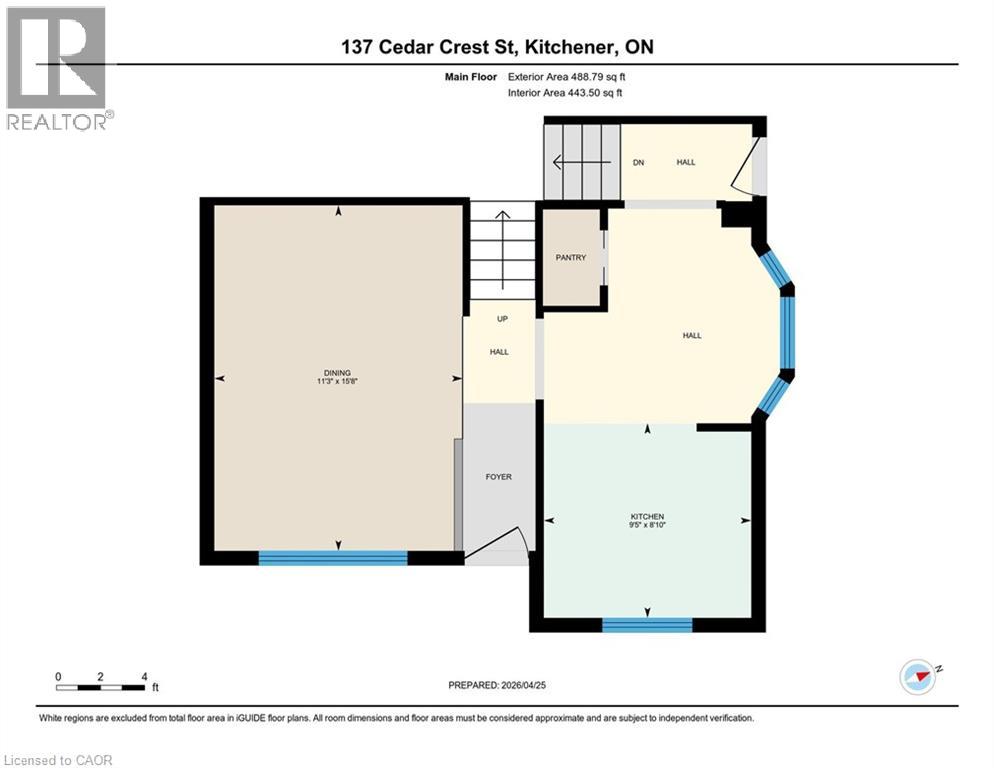 137 CEDAR CREST Street, Kitchener, Ontario, N2N2A6 — Photo 36