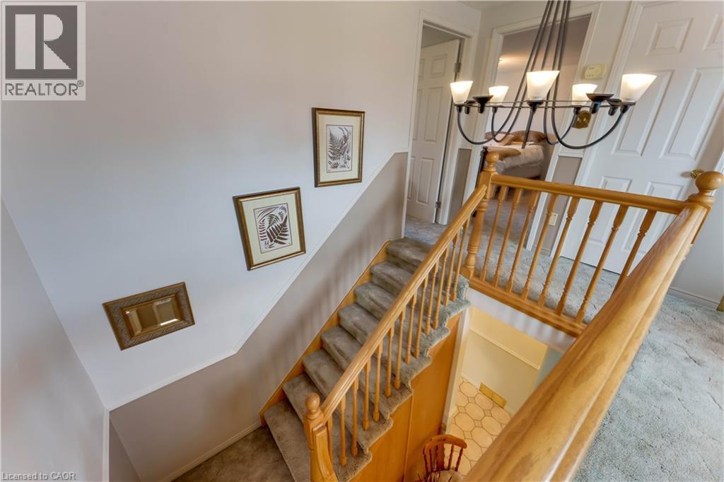 11 DARLINGTON Place, Kitchener, Ontario, N2A3M3 — Photo 22