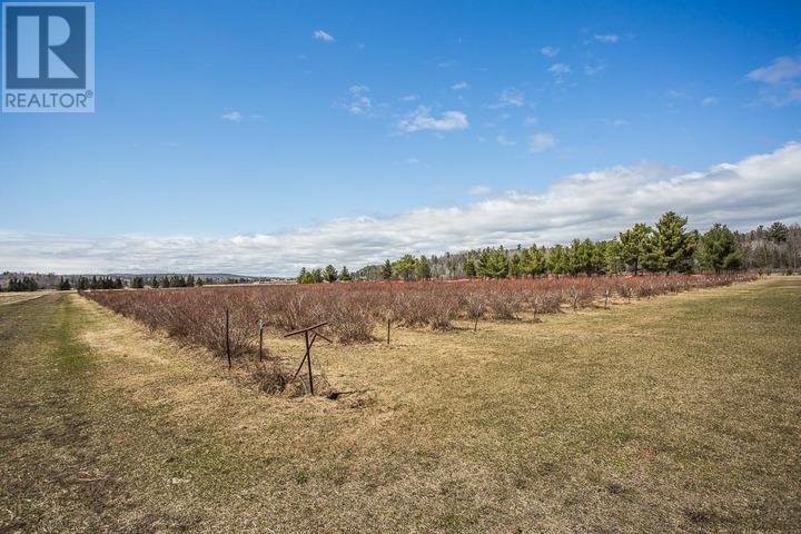 46 Collver RD, Thessalon, Ontario, P0R1L0 — Photo 41