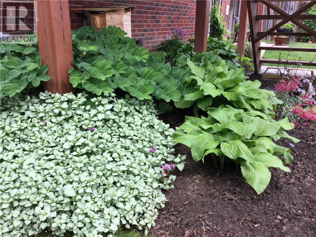 140 FESTIVAL Way, Hamilton, Ontario, L0R1C0 — Photo 39