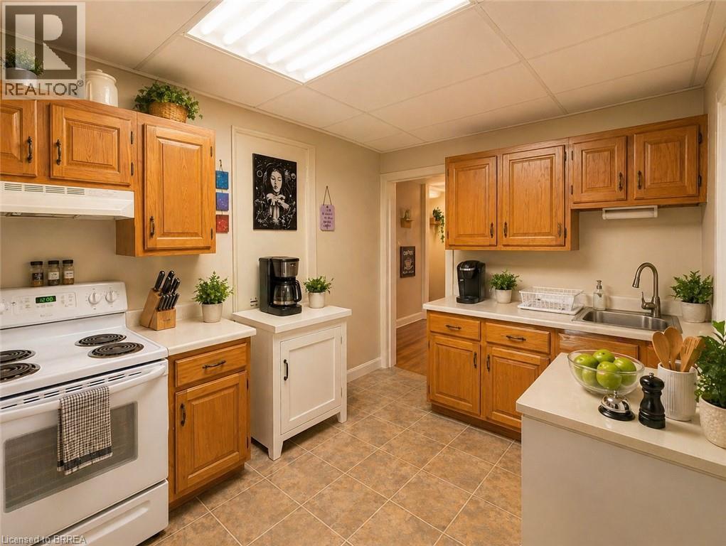 260 MURRAY Street, Brantford, Ontario, N3S5S5 — Photo 13