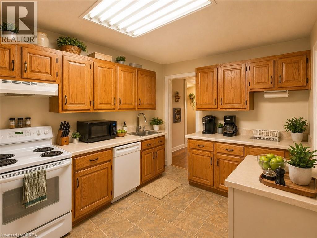260 MURRAY Street, Brantford, Ontario, N3S5S5 — Photo 3