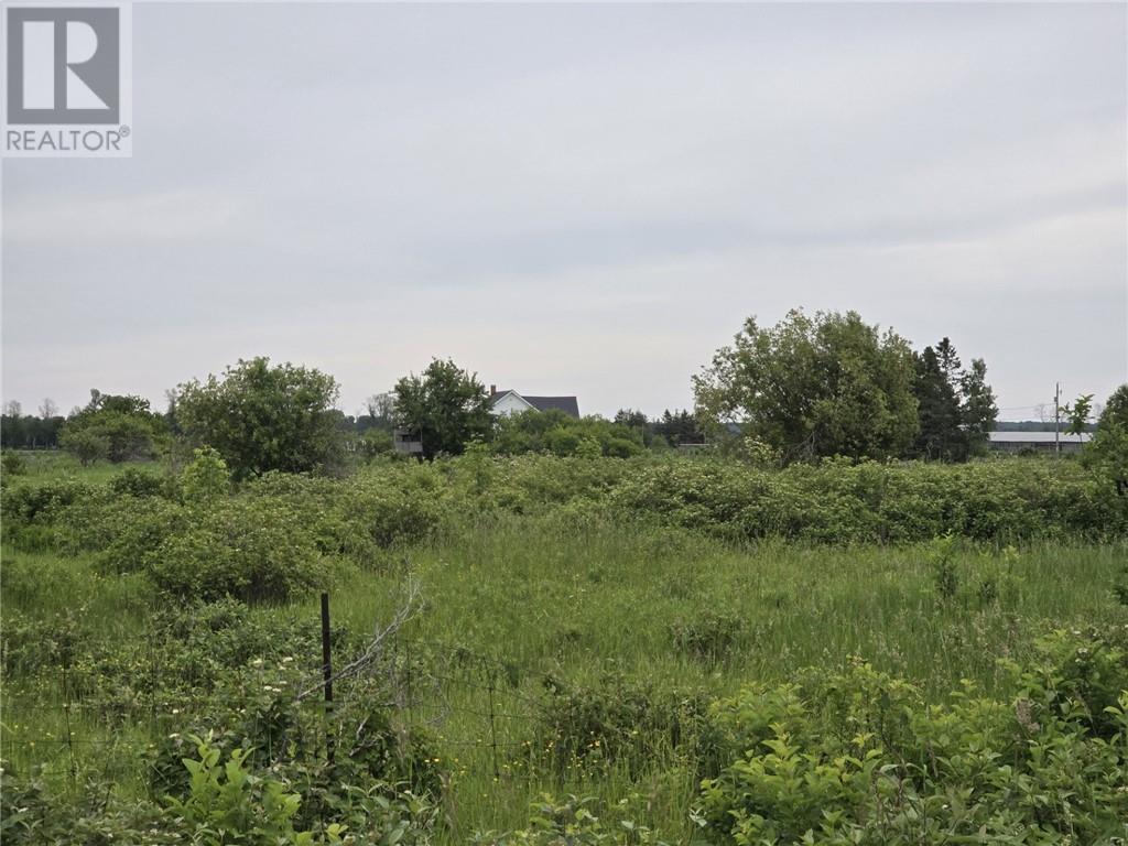 916 Campbell Rd, Evansville, Ontario, P0P1E0 — Photo 2
