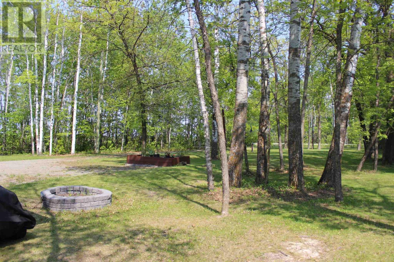 51 GRANT DR, RAINY RIVER, Ontario, P0W1L0 — Photo 13