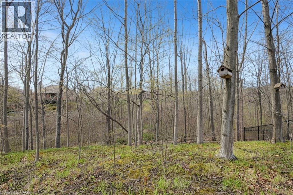 34 BIRCH Avenue, Port Dover, Ontario, N0A1N6 — Photo 45
