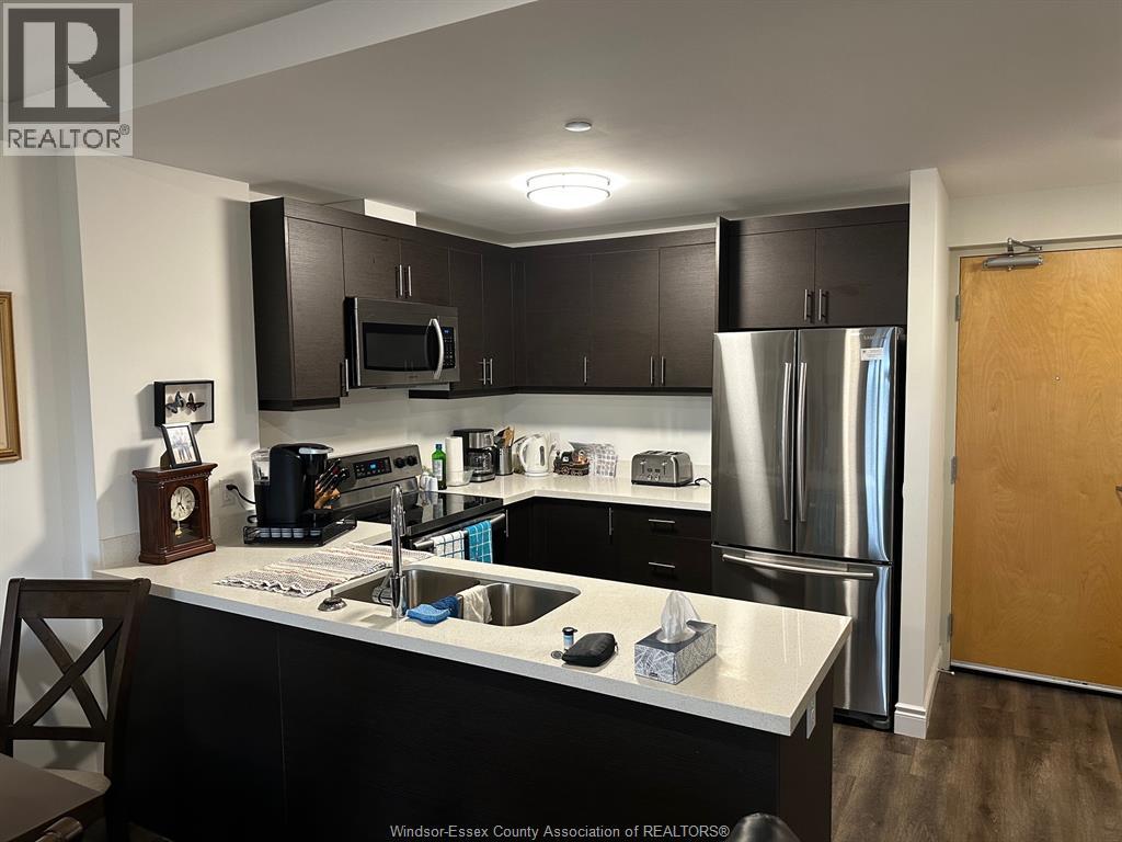 1675 BANWELL Unit# 305, Windsor, Ontario, N8P1P4 — Photo 3