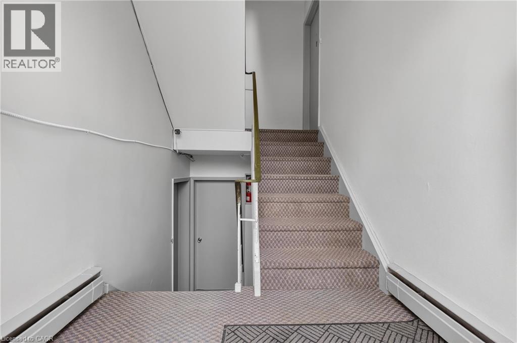 72 HOFFMAN Street, Kitchener, Ontario, N2M3M9 — Photo 5