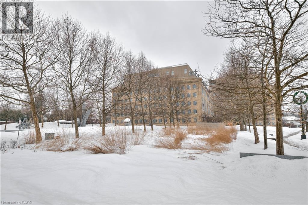 3 FATHER DAVID BAUER Drive Unit# 305, Waterloo, Ontario, N2L6M1 — Photo 46